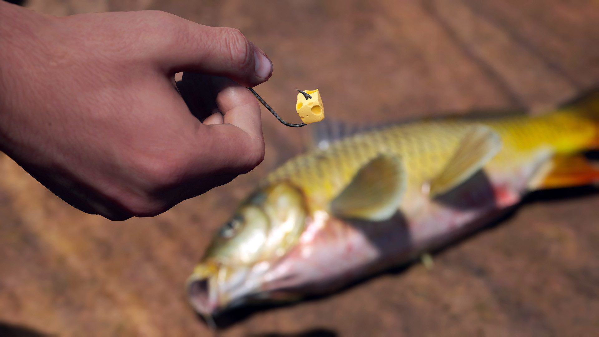 人渣 | SCUM-5 人渣 | SCUM-5